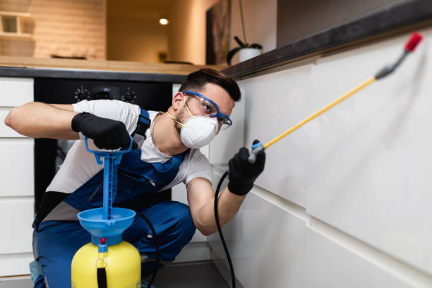 Best Pest Prevention Services  in Eagle, NE