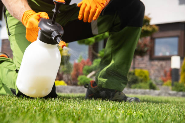 Trusted Eagle, NE Pest Control Experts