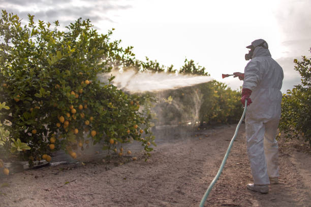 Best Pest Control Near Me  in Eagle, NE