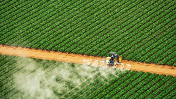 Best Insect Control  in Eagle, NE