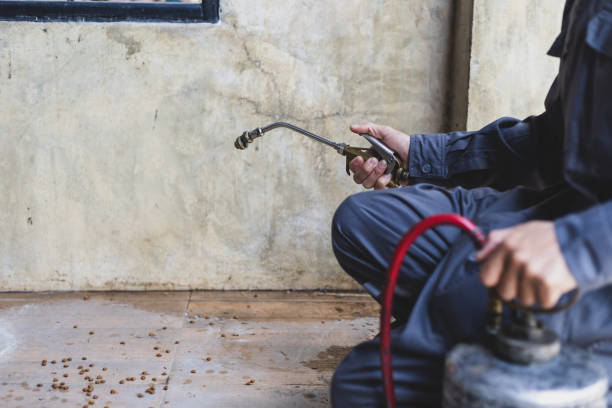 Best Residential Pest Control  in Eagle, NE